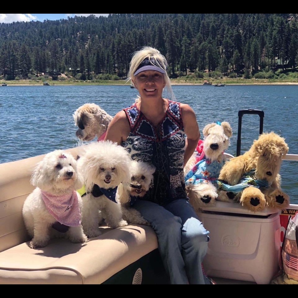 ⭐️Posh Ambassador II ⭐️ - Picture 4 of 16